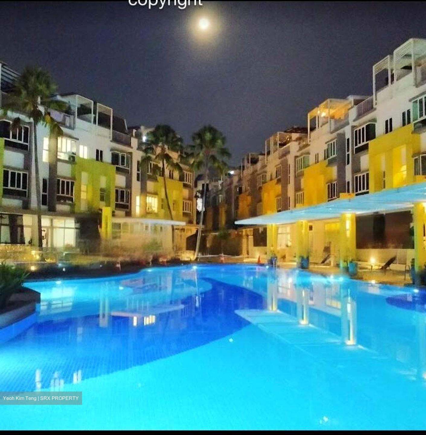 The Shaughnessy (D27), Terrace #460261481